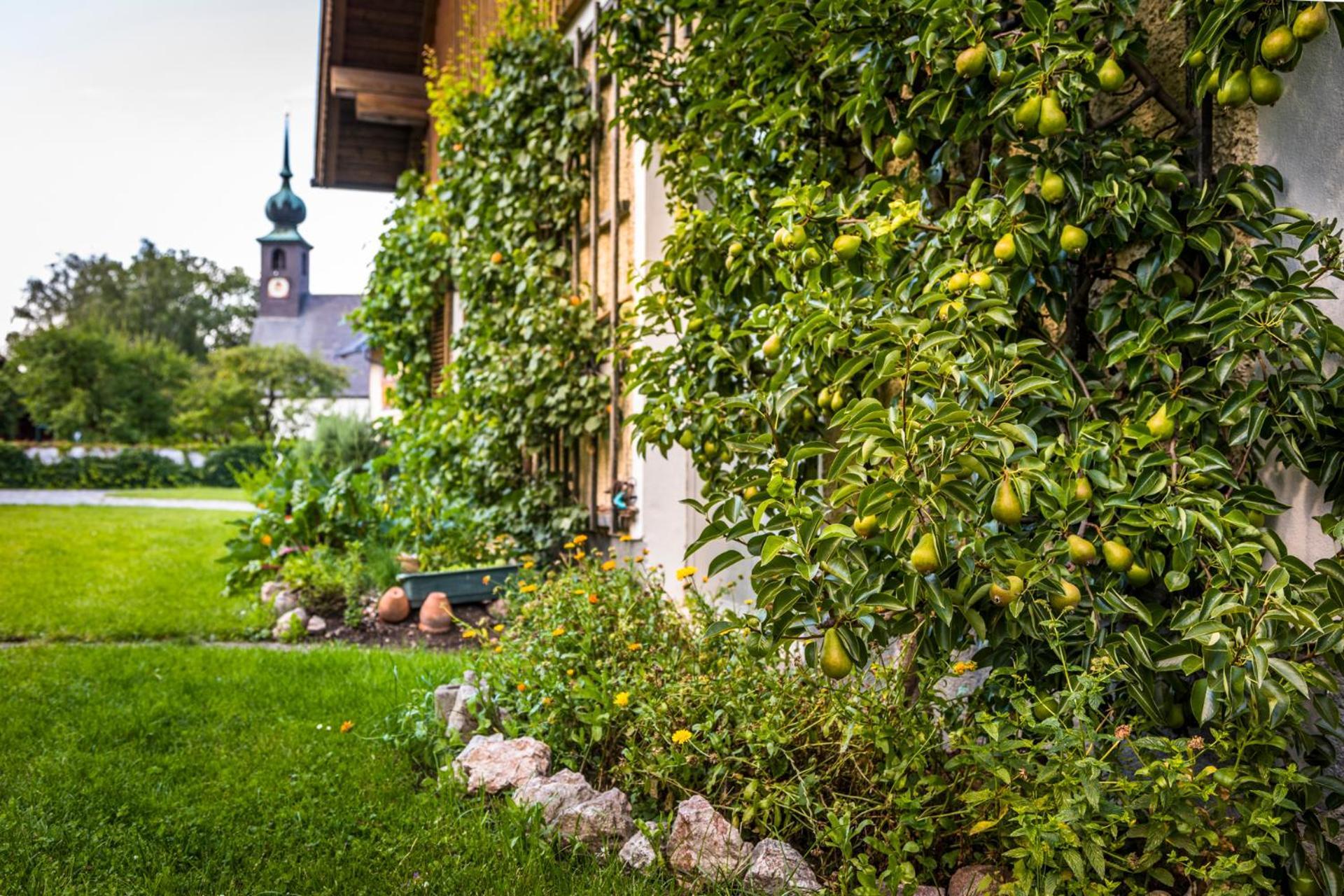 Landhaus Appartement Seidenwebergut Anif Bei Salzburg Niederalm Exterior photo